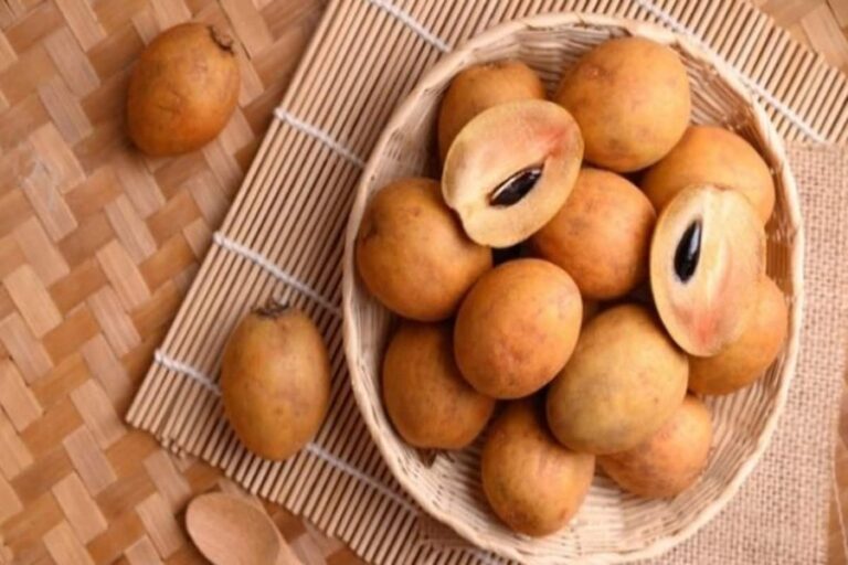 Benefits of Chikoo : सर्दियों में महंगी कीवी नहीं सस्ता चीकू है सेहत का खज़ाना, बिमारियां रहेंगी दूर