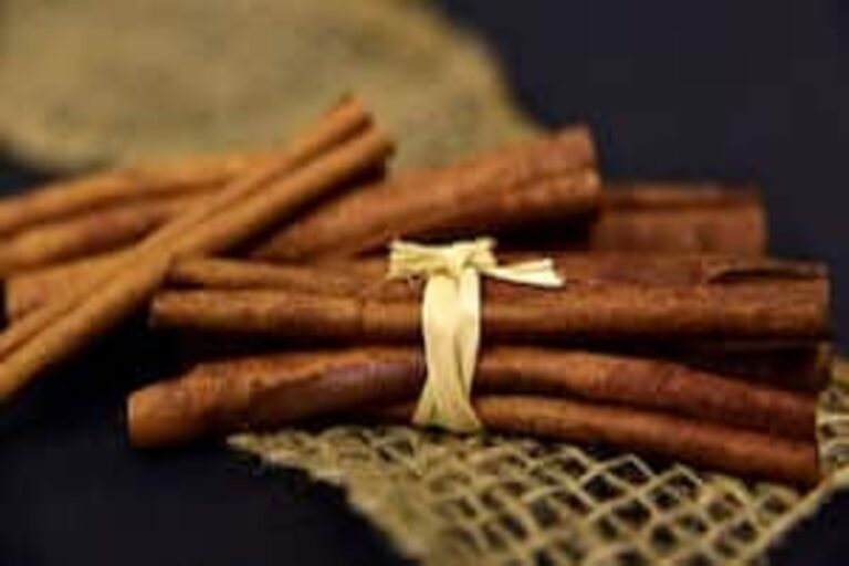 Cinnamon Benefits: पीरियड्स के दर्द में मदद करती है दालचीनी, फायदें जानकर हो जाएंगे हैरान