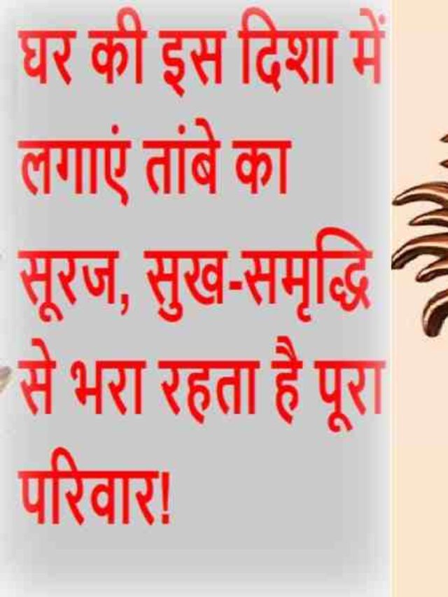 Copper Sun Benefits Vastu Tips in hindi