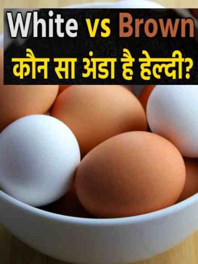 White or Brown Which Eggs is More Beneficial for Health in Hindi