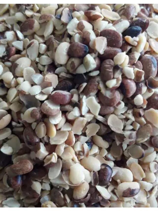 daal8 (1)
