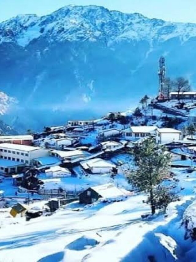 Winter Vacation