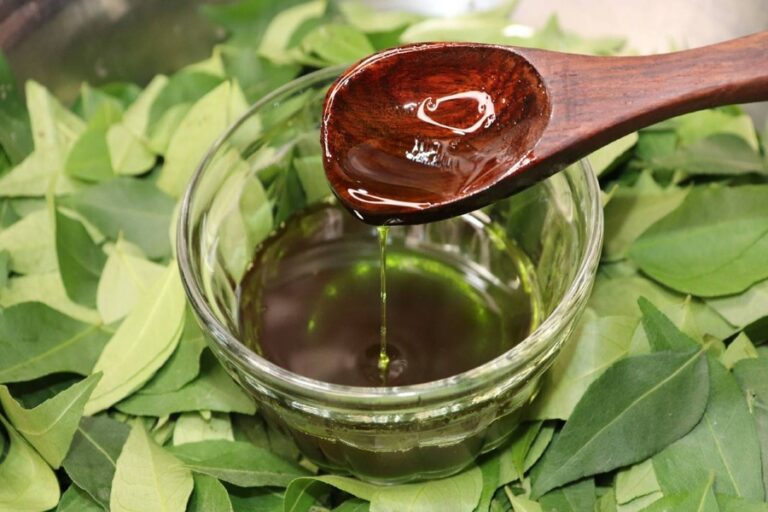Curry Leaves Hair Oil:  करी पत्ता से बनाएं जादुई हेयर ऑयल, बाल होंगे लंबे-घने
