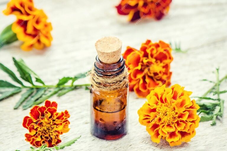 Merigold Essential Oil : गेंदे के फूल के तेल से बनाएं फेस टोनर, जानें तेल के लाभ