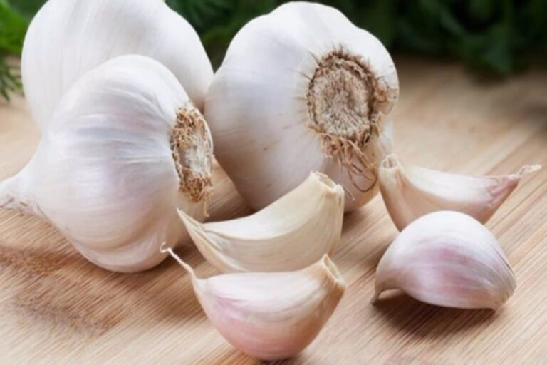 Garlic Price Hike: नए साल में लहसुन की कीमत तोड़ेगी कमर, बिगड़ेगा रसोई का स्वाद