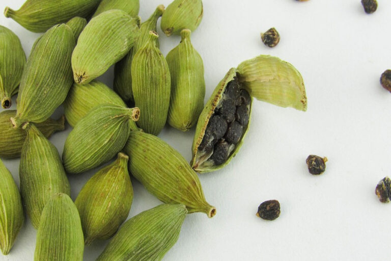 Benefits Of Eating Cardamom: रोज सुबह खाली पेट चबाएं हरी इलाइची, वजन होगा कम
