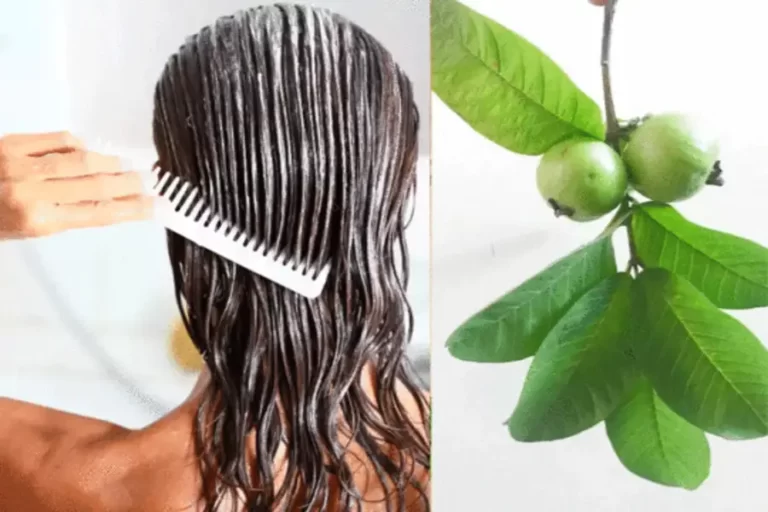Guava Leaves Hair Mask : इस होम मेड हेयर मास्क से बाल होंगे लंबे और घने