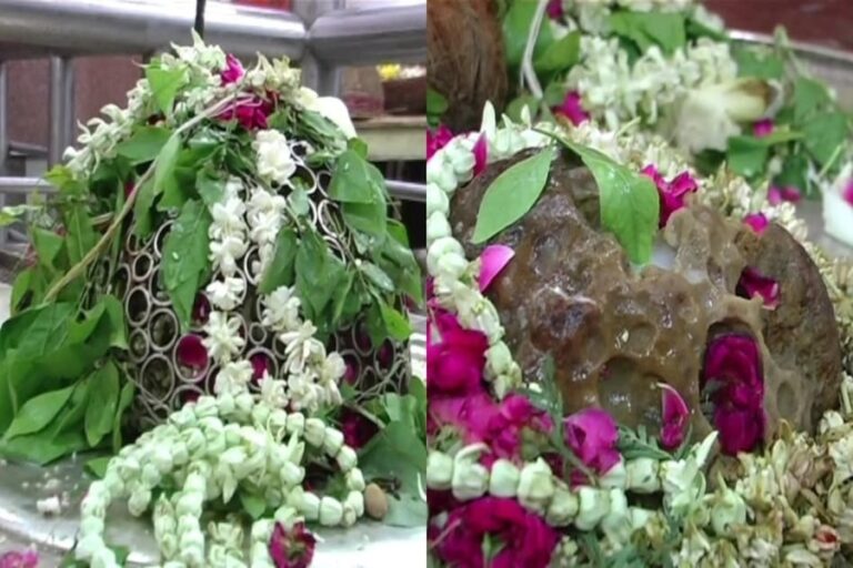 Mahamritunjay Shivling: यह है दुनिया का इकलौता शिवलिंग जिसमें हैं 1001 छिद्र, दर्शन करने से टलती है मृत्यु
