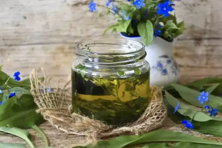 Home Made Hair Mask : सर्दियों में झड़ते बालों में लगाएं यह हेयर मास्क, वापस आयेंगे बाल