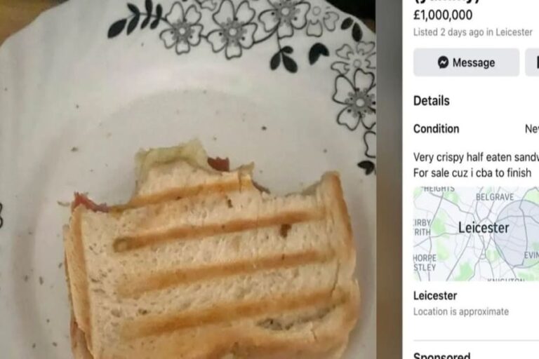 Sandwich in FB: फेसबुक पर बिक रही 10 करोड़ की सैंडविच, वजह जानकर छूट जायेंगे पसीने