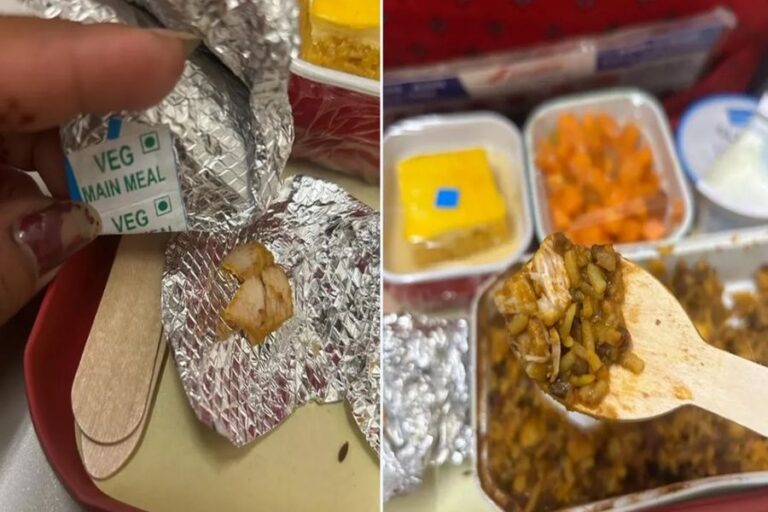 Video: एयर इंडिया की फ्लाइट में यात्री ने मंगाया शाकाहारी भोजन, लेकिन एयरलाइन ने परोस दिए चिकन, आगे क्या हुआ?