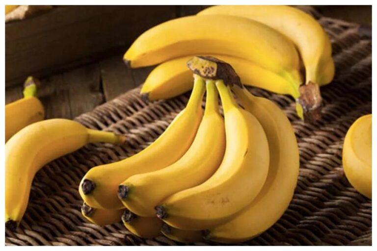 Banana Eating Benefits: हर दिन सुबह नाश्ते में जरूर खाएं एक केला, मिलेंगे ओवरऑल हेल्थ फायदे, नहीं होगी ये बीमारियां कभी