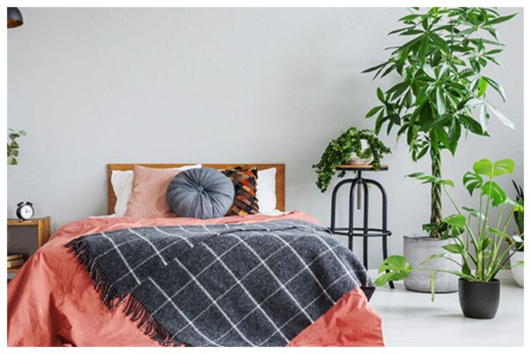 Bedroom Vastu Plants: बेडरूम में इन प्‍लांट्स को रखने से बेहतर नींद के साथ मन की शांति और दूर होगा स्ट्रेस