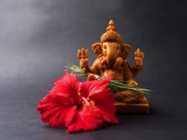 Hindu Gods Favorite Flowers