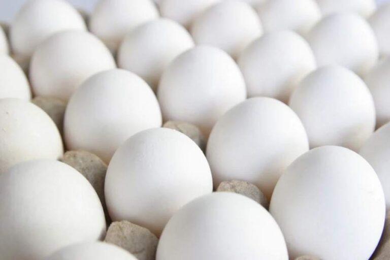How to Check Egg Freshness