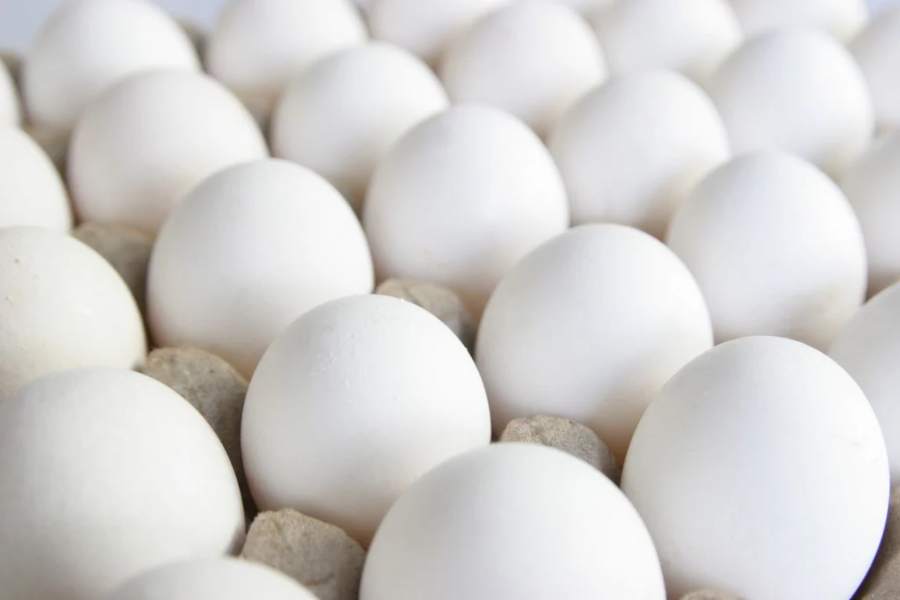 How to Check Egg Freshness How to Check Egg Freshness