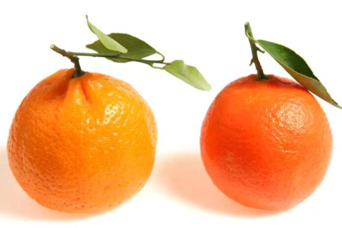 Orange Vs Kinnow