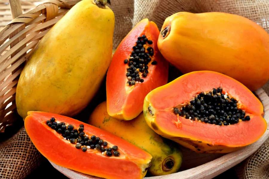 Papaya Benefits