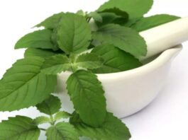 Tulsi Benefits