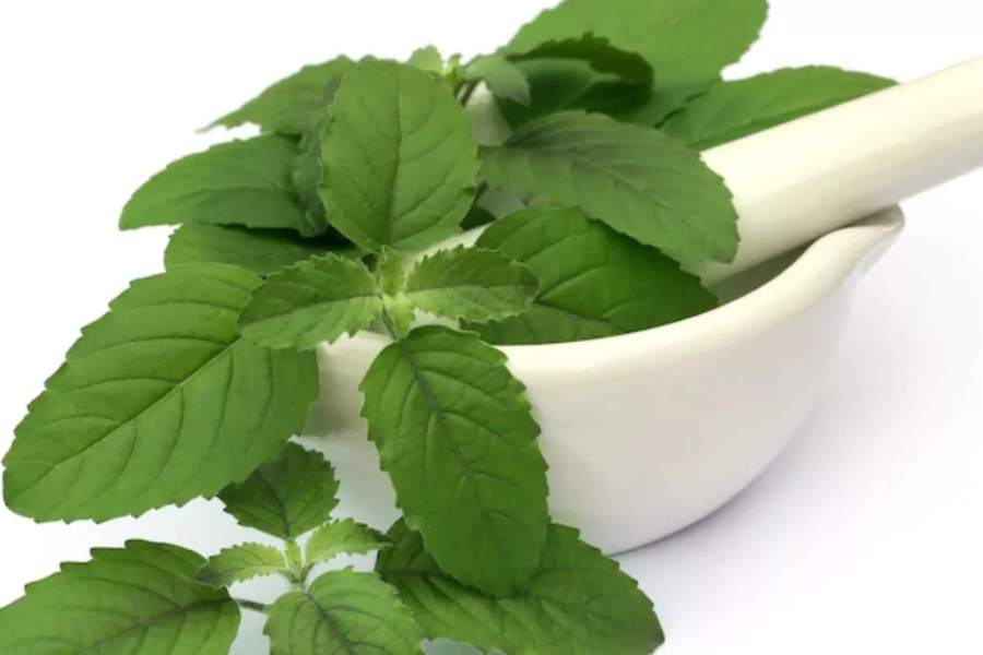 Tulsi Benefits