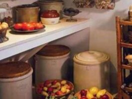 Vastu Tips For Food