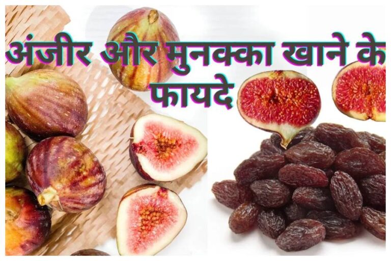 Winter Health Care: सर्दियों में भिगोकर ऐसे खाएं अंजीर और मुनक्का, कम होगा वजन और बढ़ेगा हीमोग्लोबिन