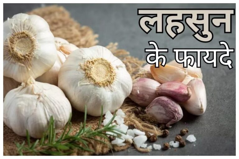 Winter Health Tips: सर्दी के मौसम में रोजाना खाएं 2 लहसुन की कलियां, होंगी ये बीमारियां दूर
