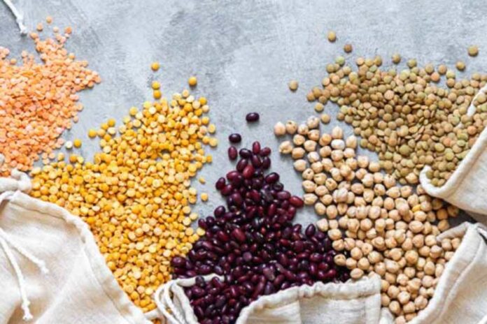 Winter Season Pulses