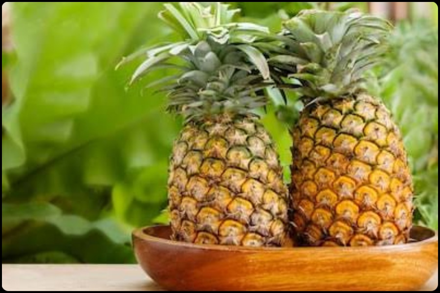 Pineapple Benefits