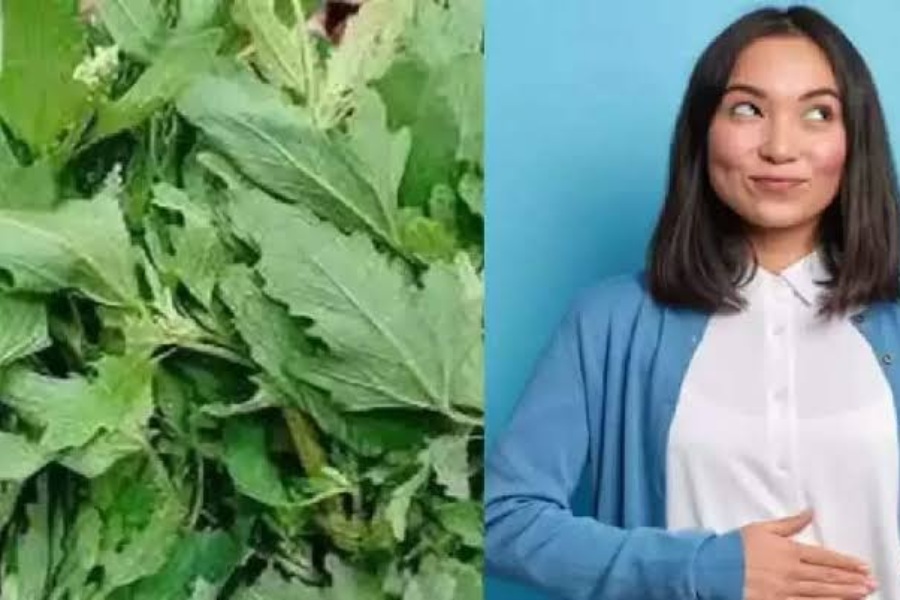 Side Effects Of Bathua Saag