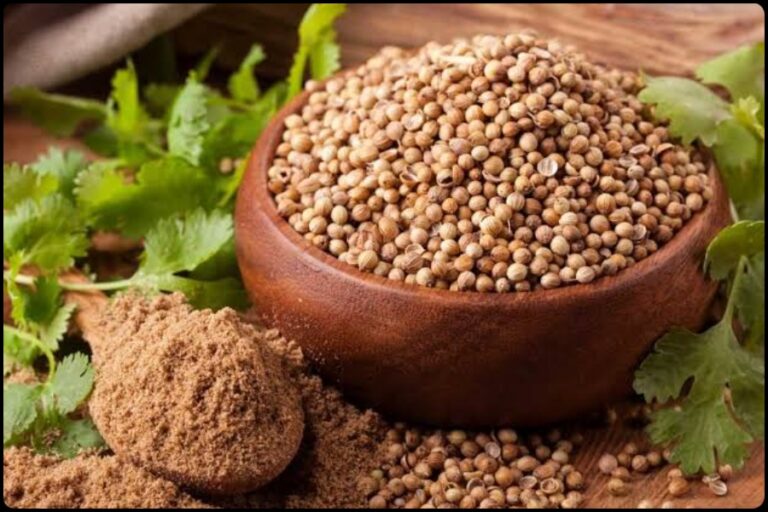 Coriander Seeds