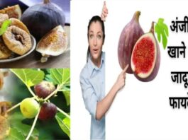 Soaked Figs Benefits