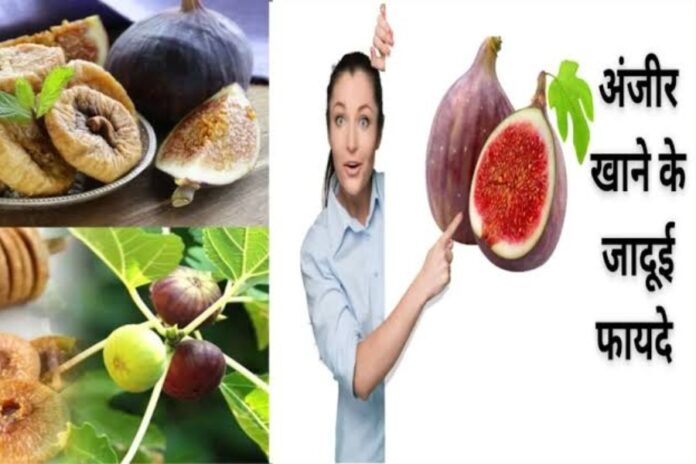 Soaked Figs Benefits