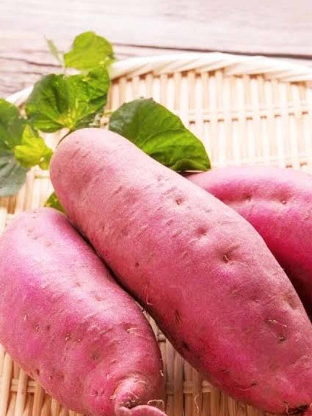 Sweet Potatoes Benefits: रोजाना खाए शकरकंद, मिलेंगे यह 10 जबरदस्त फायदे