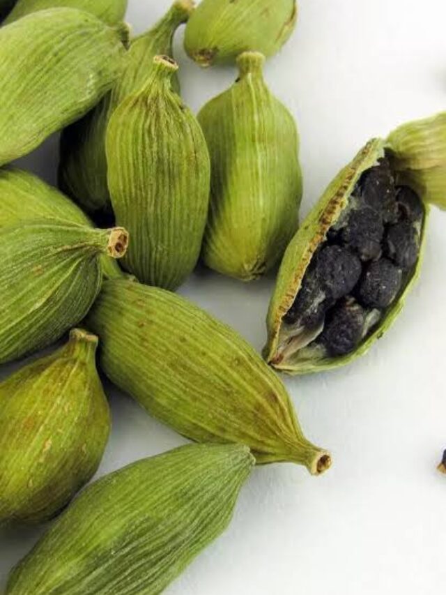 Benefits Of Cardamom