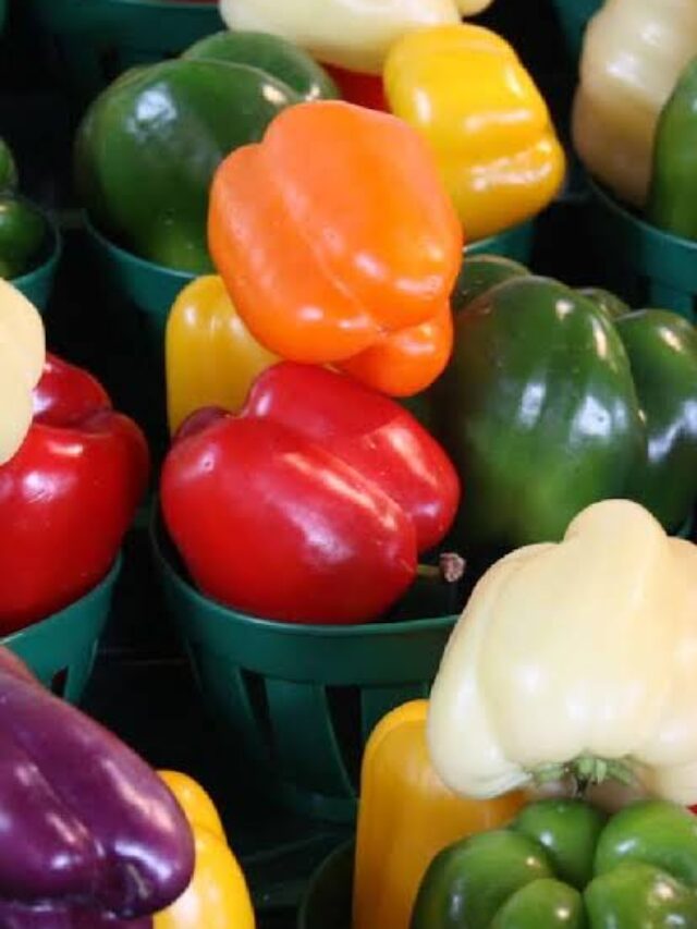 Bell Pepper Benefits