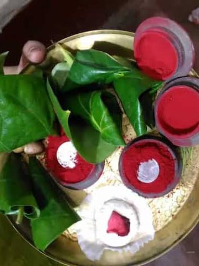 Betel leaf benefits