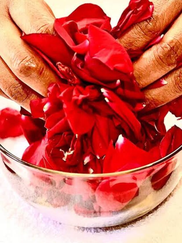 Rose Petals Benefits