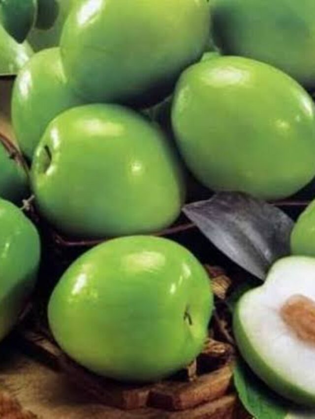 Ber Fruits Benefits