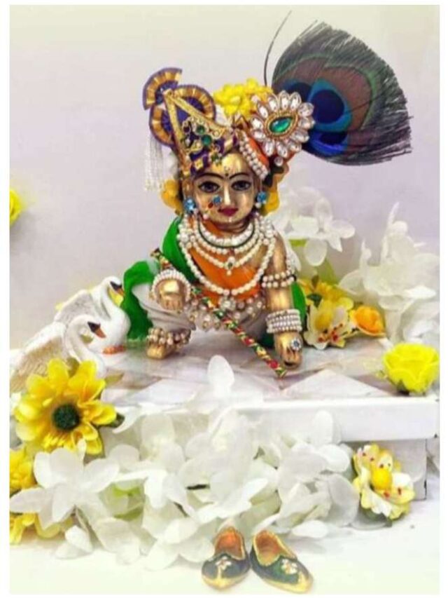 laddu gopal9