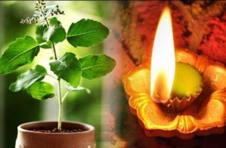 Dry Tulsi Diya