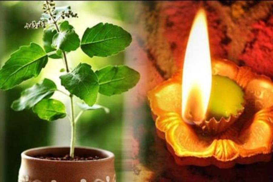 Dry Tulsi Diya Dry Tulsi Diya