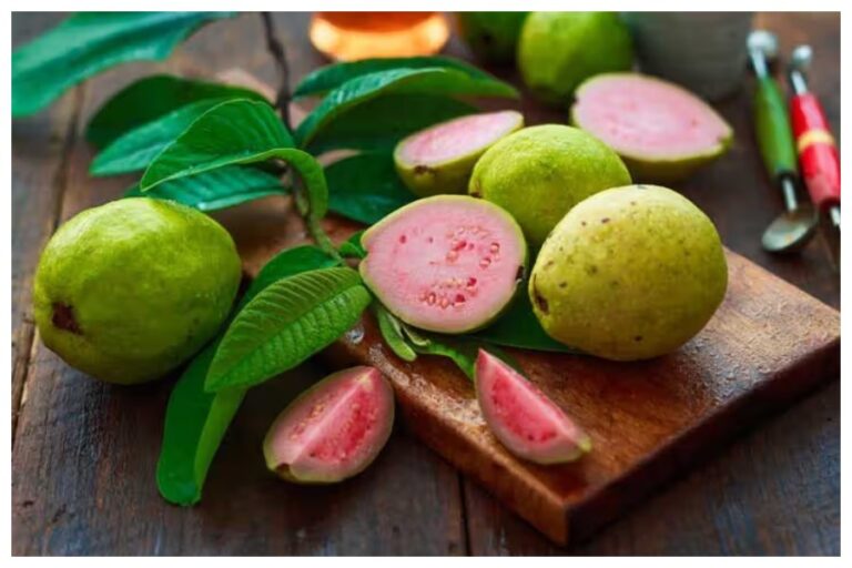 Eating Guava Benefits: इम्यूनिटी बूस्ट समेत पाचन को रखें दुरूस्त, सर्दियों में रोज अमरूद खाने के हैं अचूक फायदे