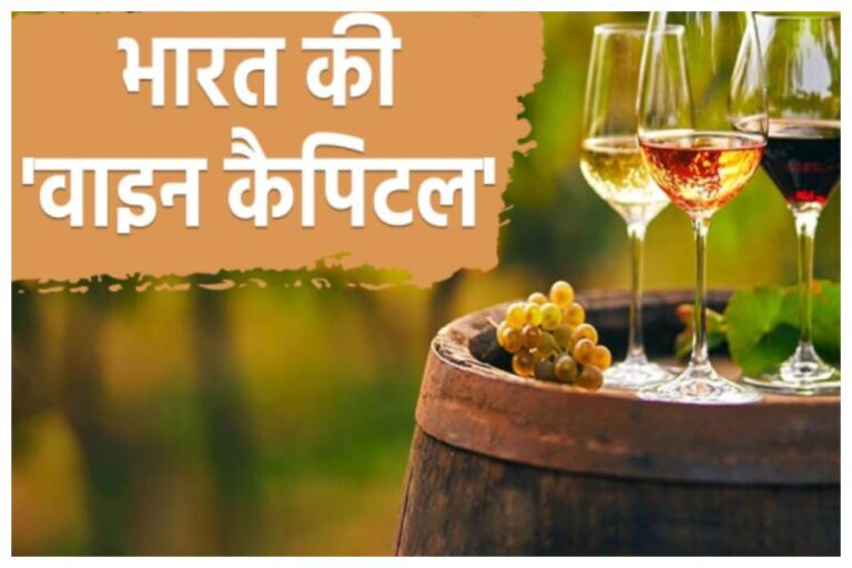 India Incredible: क्या आप भी जानते है भारत की ‘वाइन कैपिटल’ को, जानिए इस शहर की खासियतें