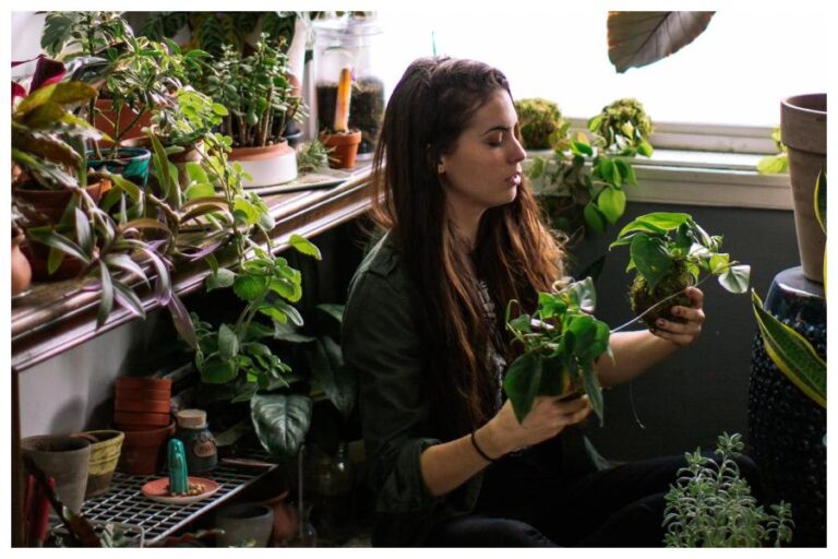 Plants Without Sunlight: बिना धूप के बढ़ने वाले हैं ये पौधें, घर में अंदर रखकर बढ़ाएं खूबसूरती
