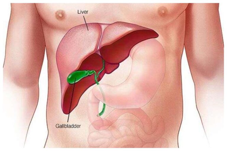 Liver Fitness Tips: लिवर को रखना है हेल्दी, तो रोज करें ये योगासन, नहीं आएगी कोई परेशानी