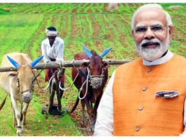 PM Kisan Samman Nidhi, PM Kisan Samman Nidhi Yojana, PM Kisan Yojana