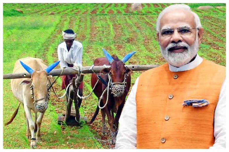PM Kisan Samman Nidhi, PM Kisan Samman Nidhi Yojana, PM Kisan Yojana
