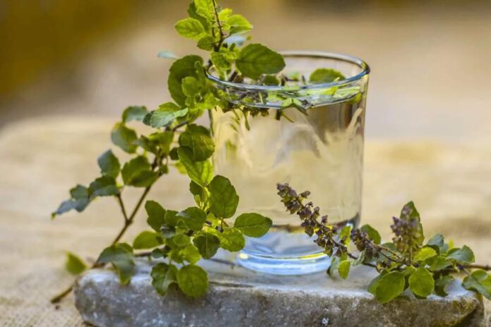 Tulsi Remedies