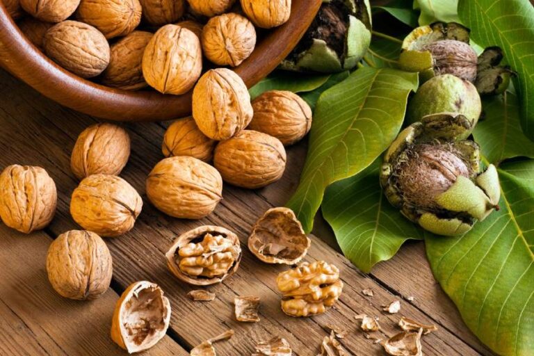Walnut Benefits